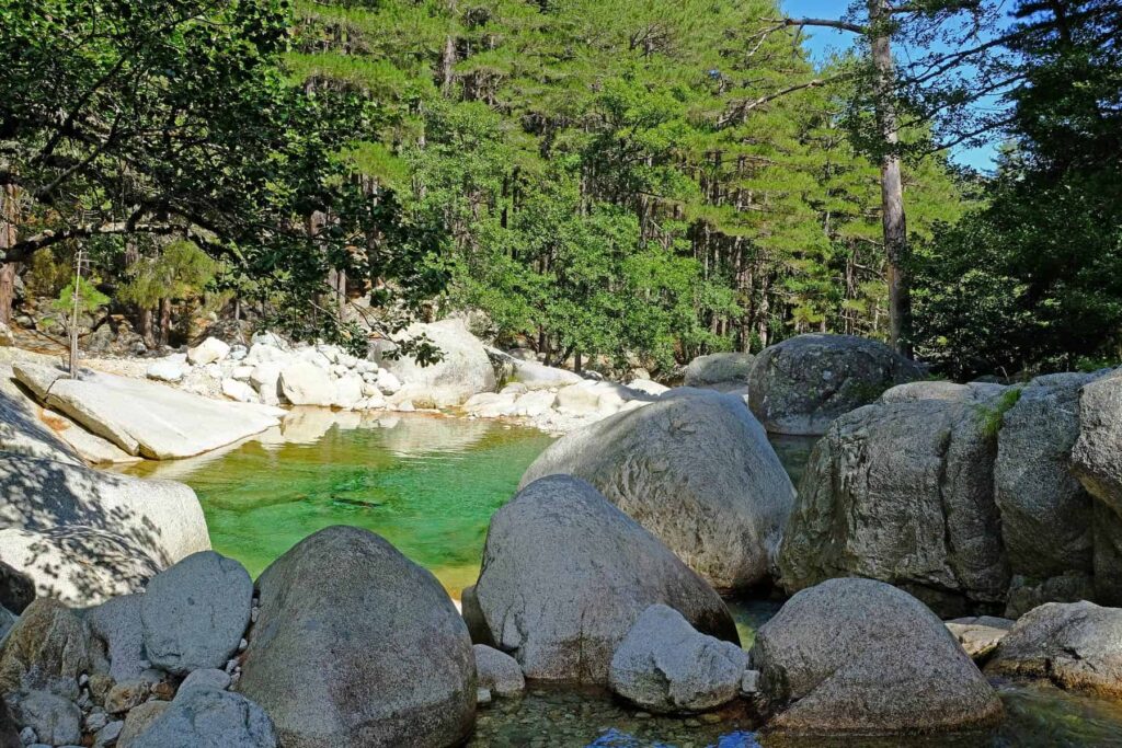 Corsicans proudly believe that their island is the best in the world.