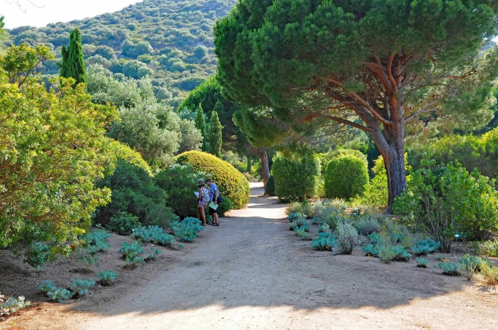 Saleccia Botanical Garden showcases Mediterranean plants in a peaceful setting near Ile Rousse.