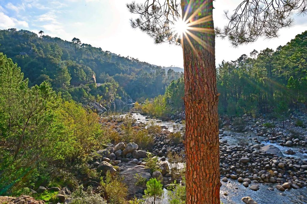 With their dramatic peaks, hidden river pools and scenic trails, Bavella Mountains are a perfect destination for nature lovers.