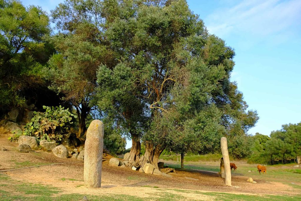 Step back thousands of years at Filitosa, Corsica's most remarkable prehistoric site.