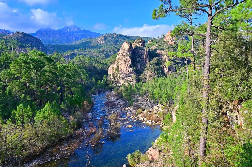 Solenzara River winds through the majestic, pine-covered mountains of South Corsica.